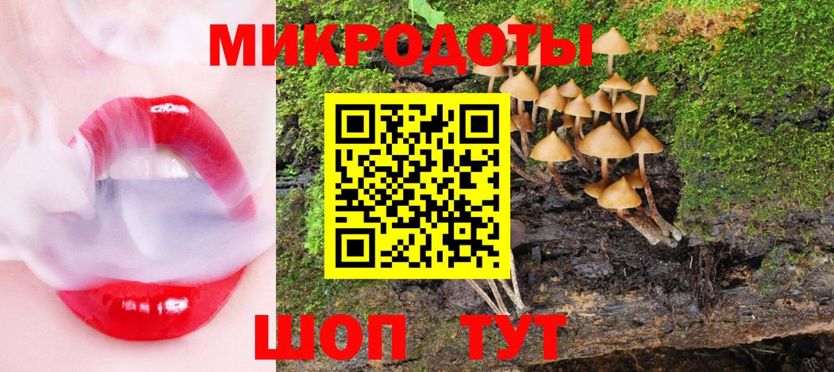 Псилоцибиновые грибы мухоморы Саров