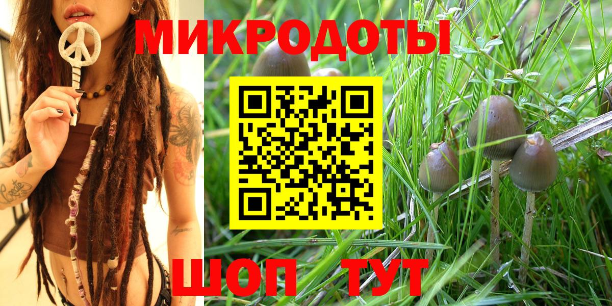 закладки  Вход с VPN  Саров  Галлюциногенные грибы мицелий 